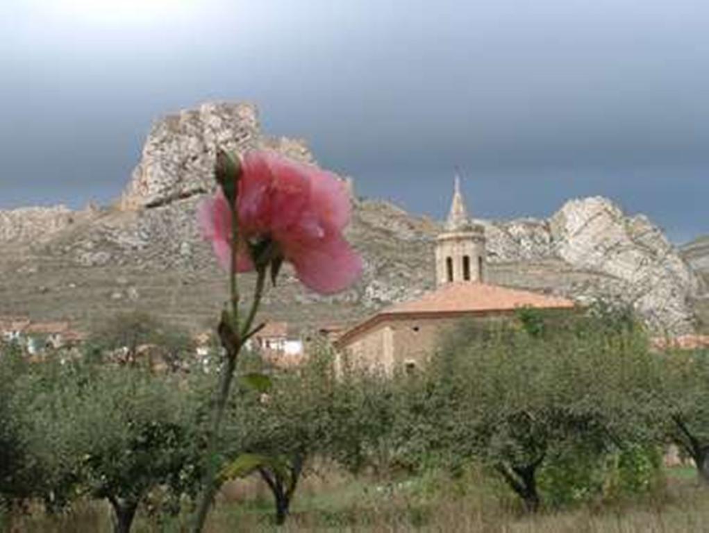 Hotel Rural El Horno De Aliaga Bagian luar foto